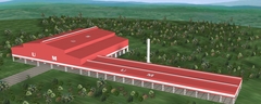 Zambia 3 D Vision of the plant